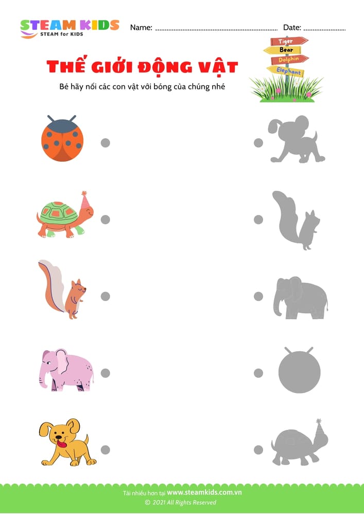 Nhận biết hoa - B2