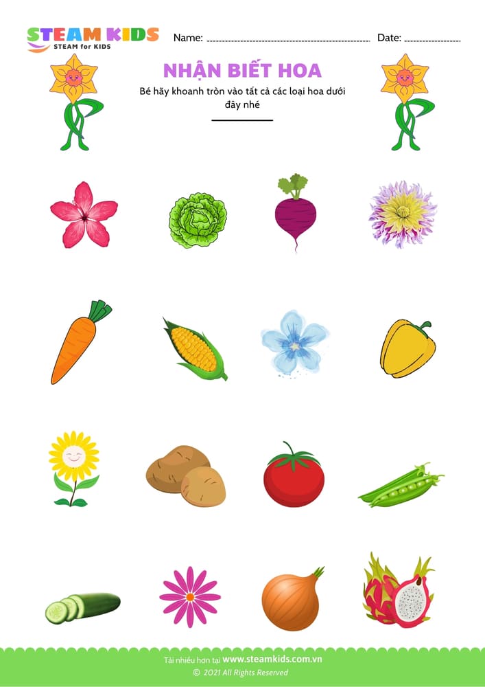 Nhận biết hoa - B14