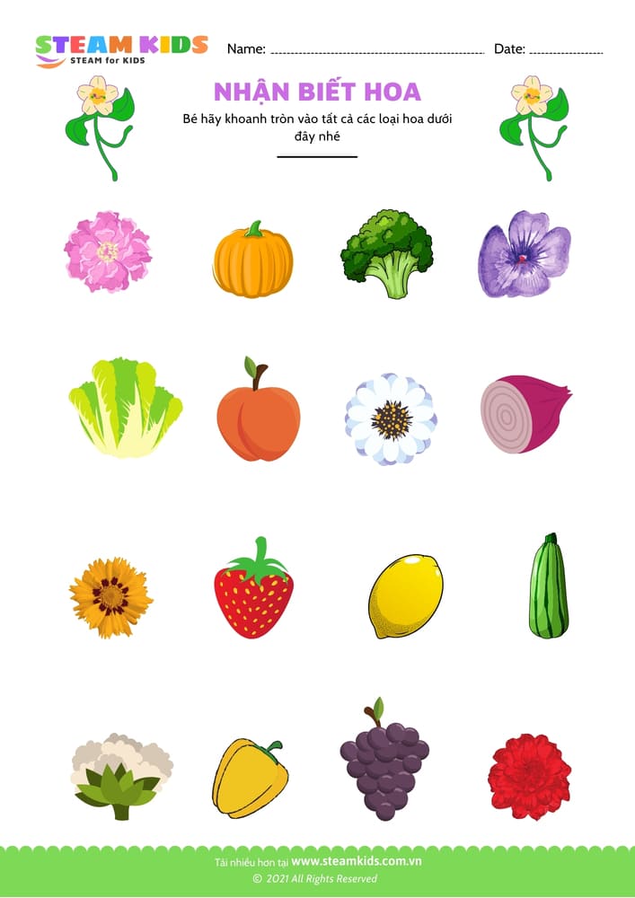 Nhận biết hoa - B14