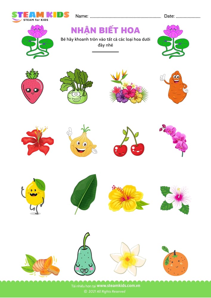 Nhận biết hoa - B14