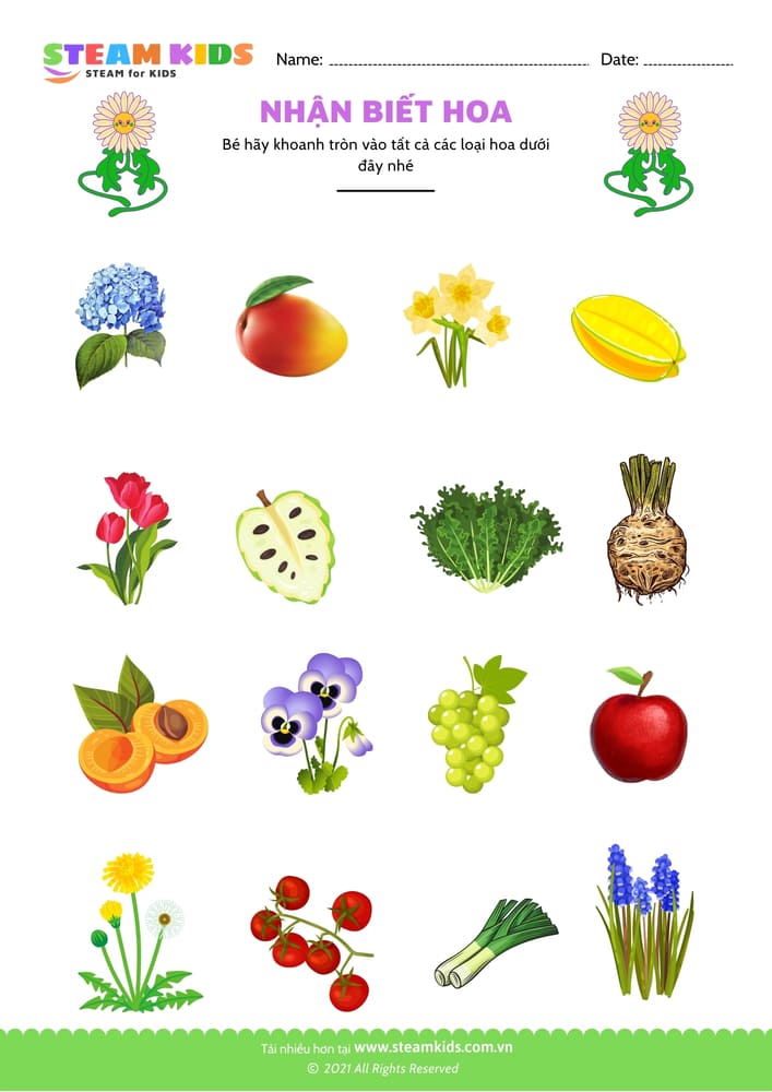 Nhận biết hoa - B14