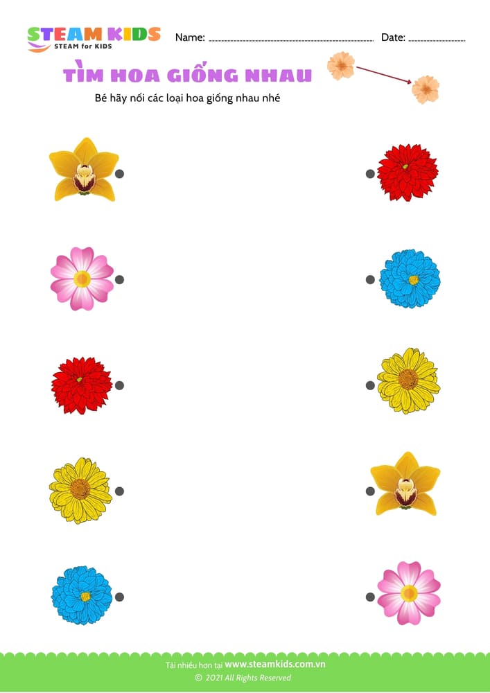 Tìm hoa giống nhau - B10