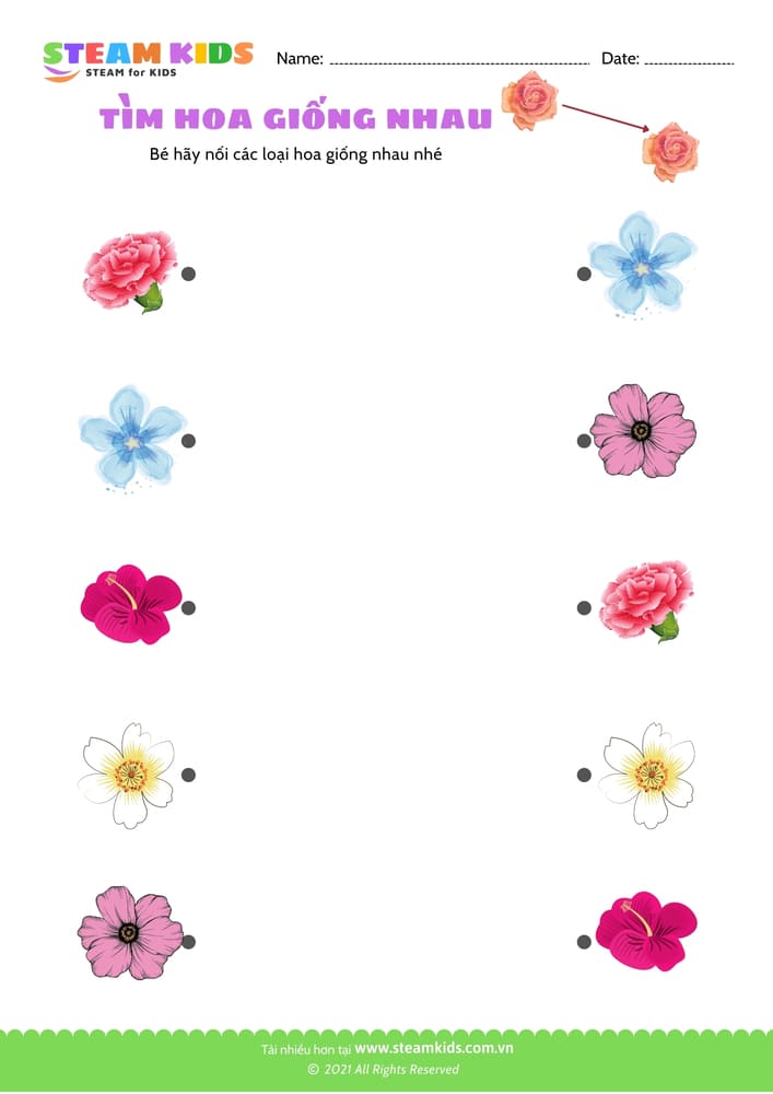 Tìm hoa giống nhau - B10