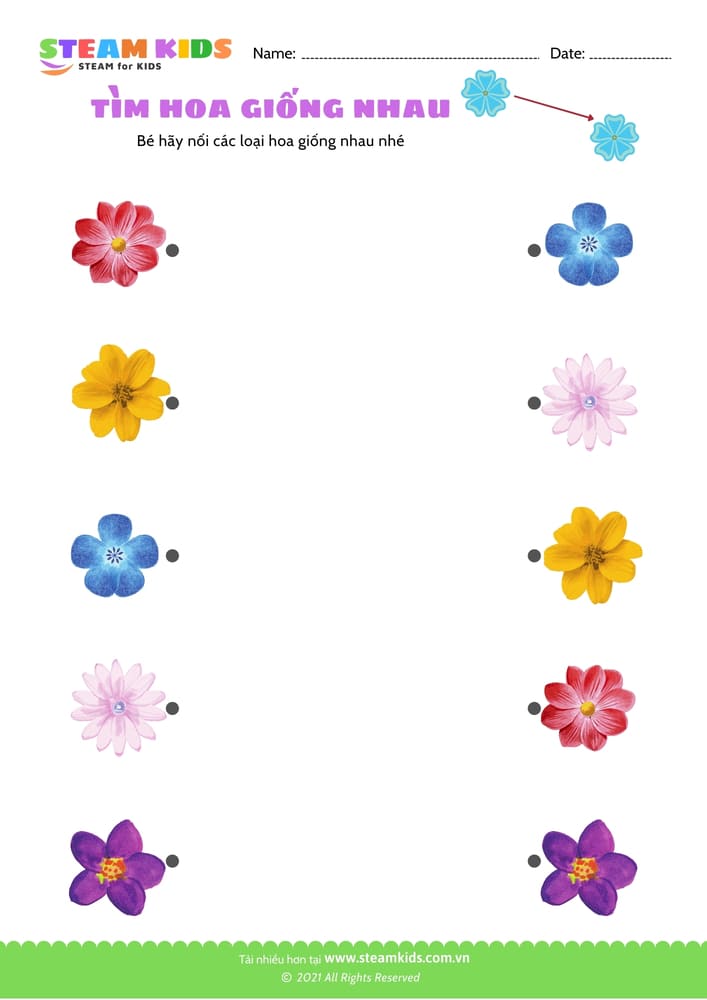 Tìm hoa giống nhau - B10