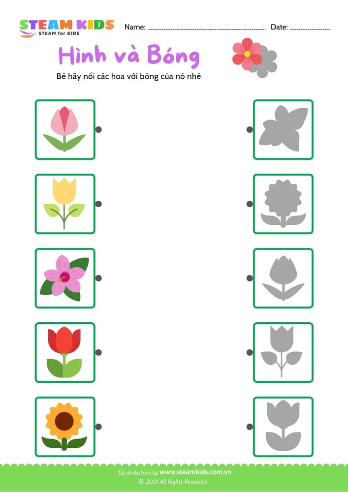 Nhận biết màu sắc - B11