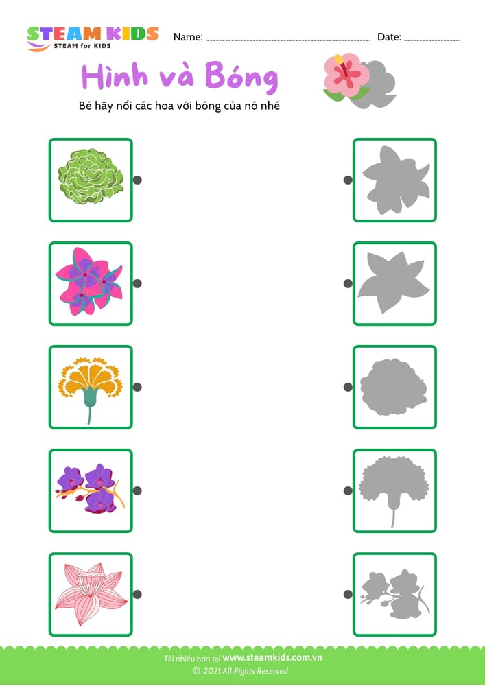 Nhận biết màu sắc - B11