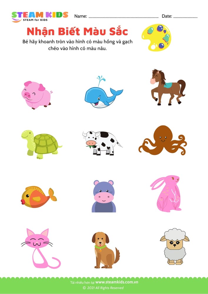 Nhận biết màu sắc - B11