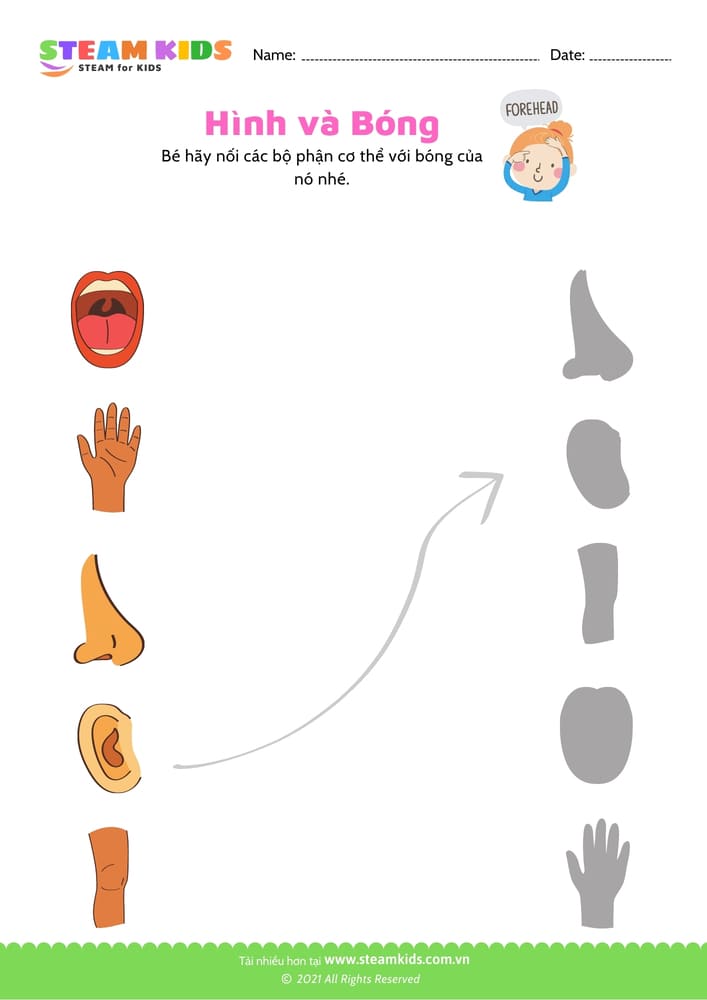 Nhận biết phân biệt - B6