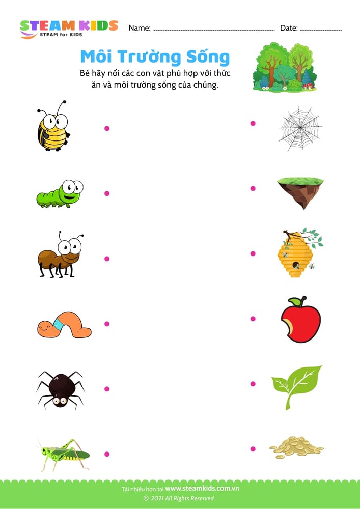 Nhận biết phân biệt - B22