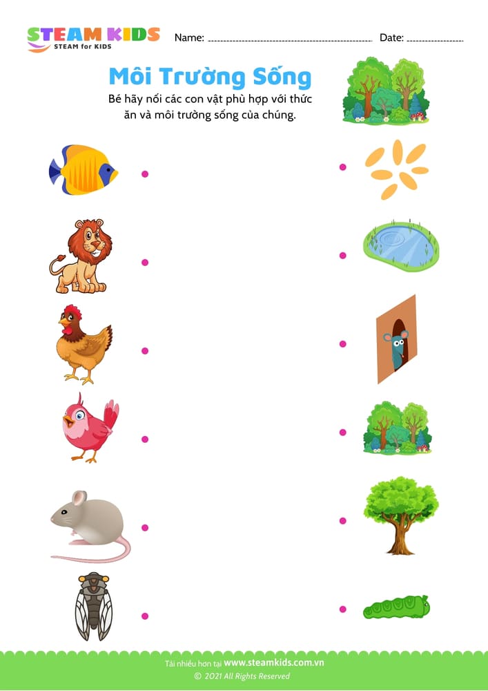 Tô màu Con Bọ ngựa steam kids,steamkids