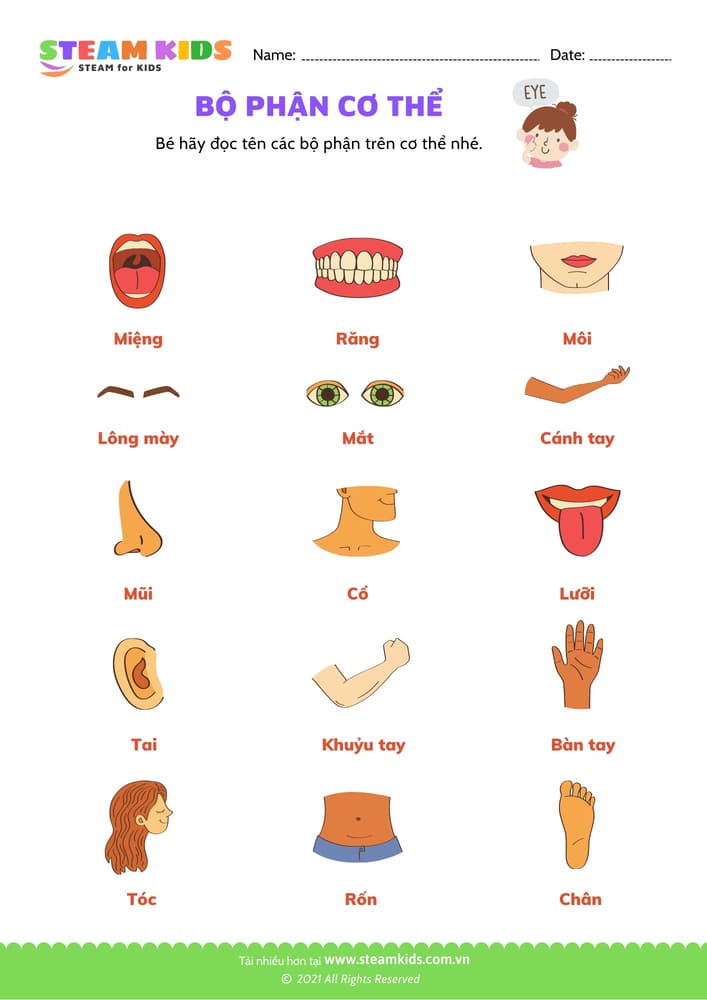 Nhận biết phân biệt - B6 Các bộ phận cơ thể 4 - 6 tuổi