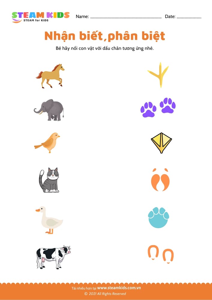 Nhận biết phân biệt - B22