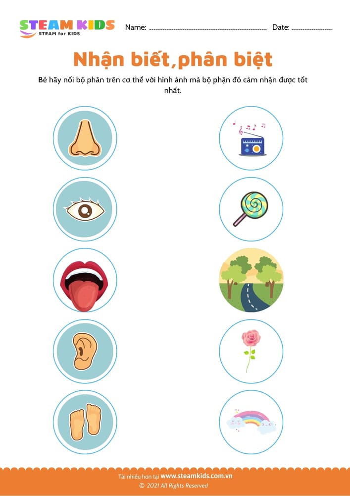 Nhận biết phân biệt - B6 Các bộ phận cơ thể 4 - 6 tuổi