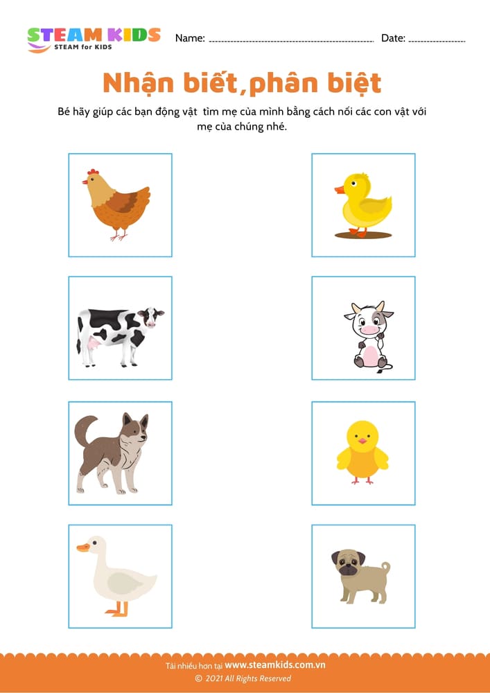 Tô màu Con Bọ ngựa steam kids,steamkids