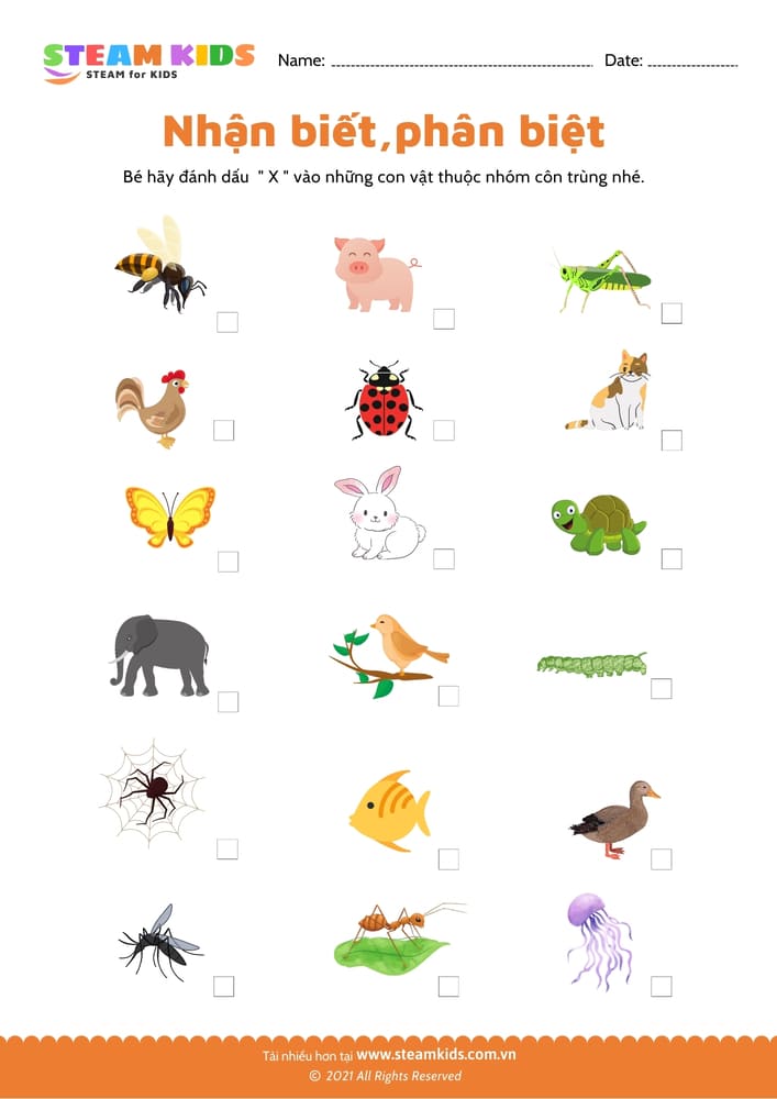 Nhận biết phân biệt - B22