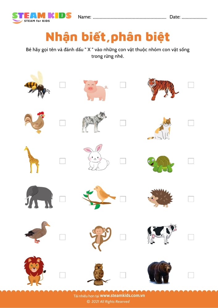 Nhận biết phân biệt - B25