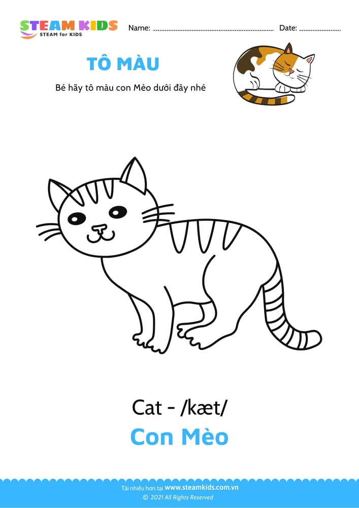 Bài tập Tô màu - Tô màu Con mèo