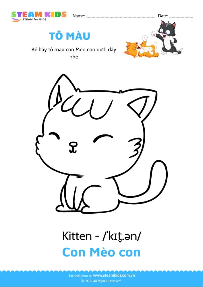Bài tập Tô màu - Tô màu Con mèo con
