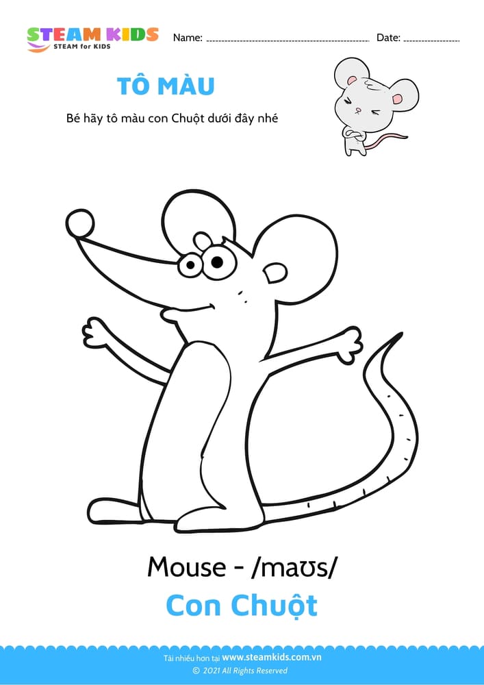 Bài tập Tô màu - Tô màu Chuột