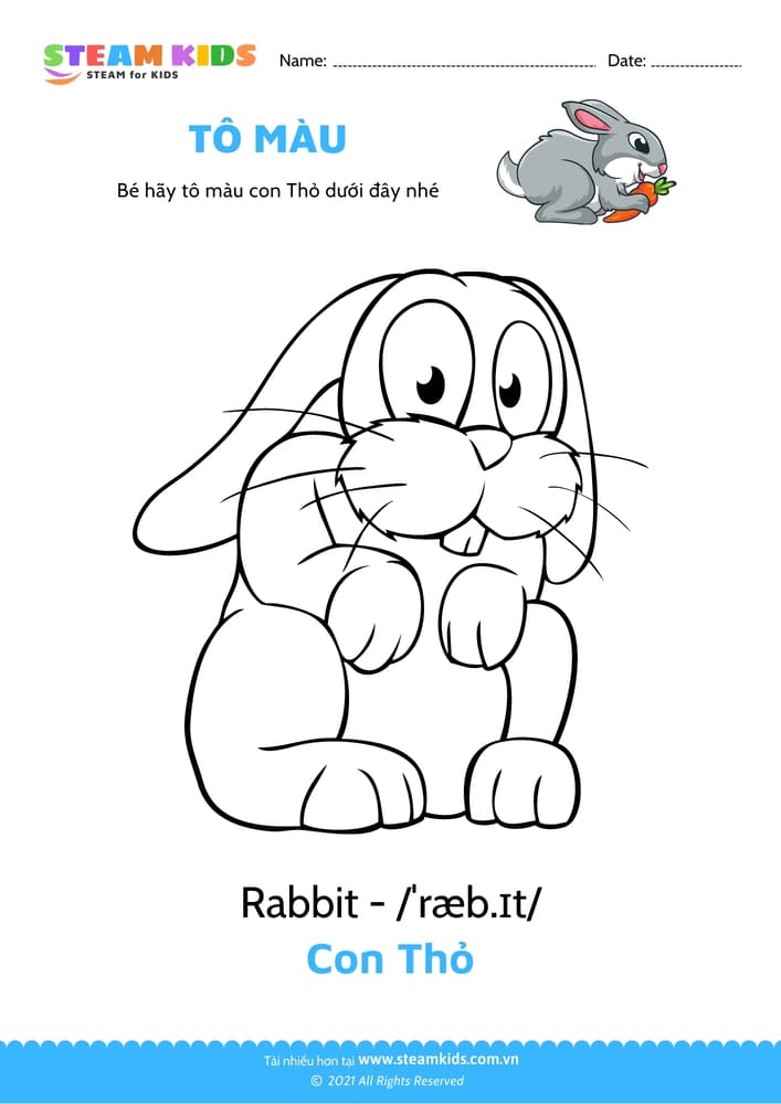 Bài tập Tô màu - Tô màu Con thỏ 2