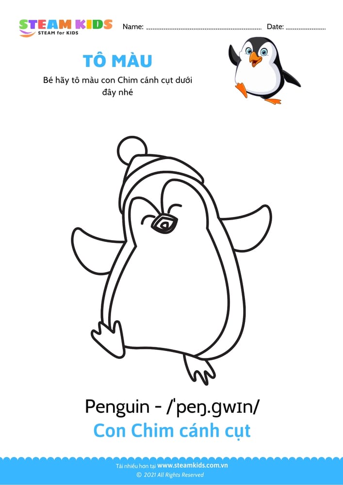 Bài tập Tô màu - Tô màu con Chim cánh cụt