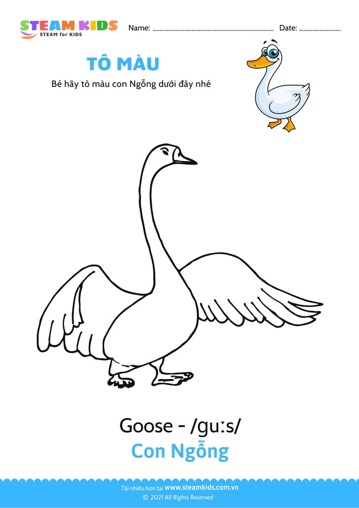 Bài tập Tô màu - Tô màu Con ngỗng