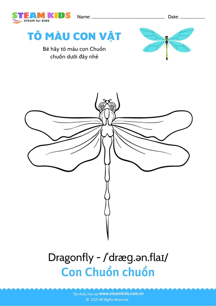 Bài tập Tô màu - Tô màu Con chuồn chuồn