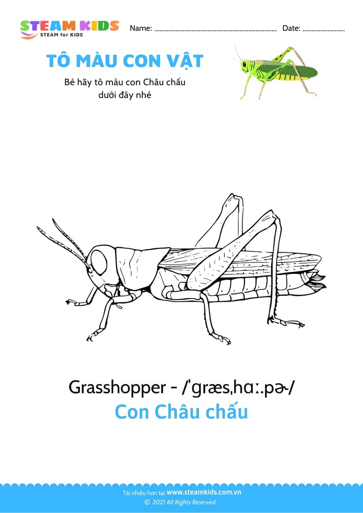 Bài tập Tô màu - Tô màu Con châu chấu