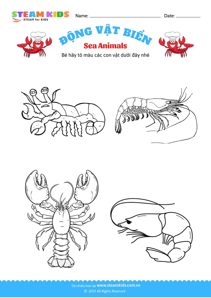 Bài tập Tô màu - Tô màu động vật - B12