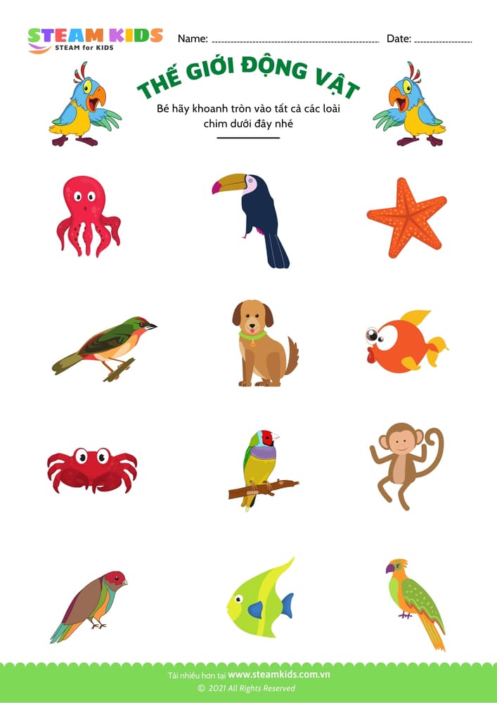 Bài tập khoa học - Nhận biết con vật - B5