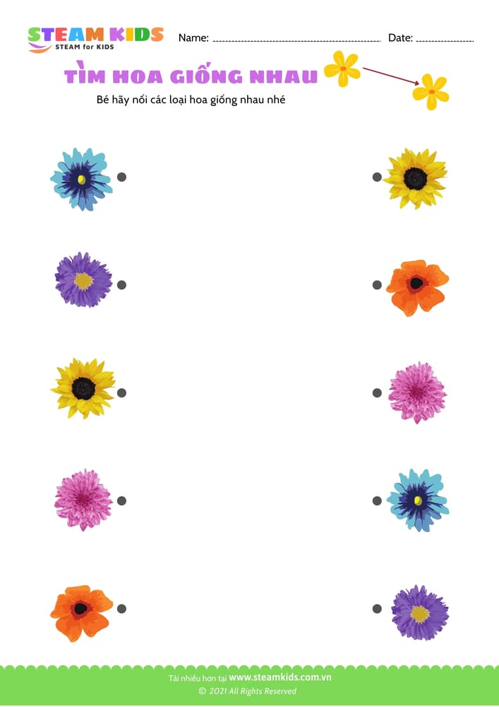 Bài tập khoa học - Tìm hoa giống nhau - B10