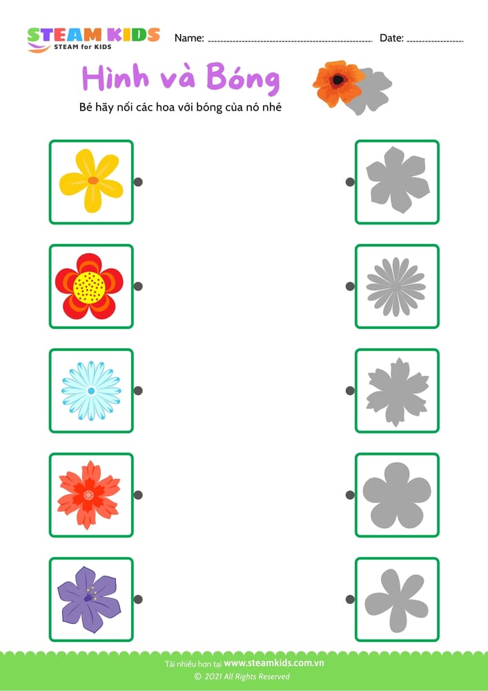 Bài tập khoa học - Nhận dạng hoa - B1