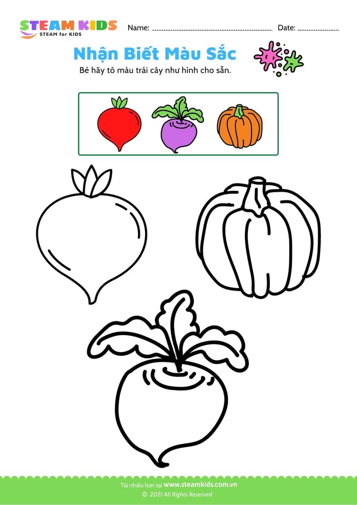 Bài tập khoa học - Tô màu theo mẫu - B6