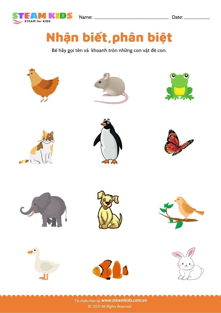 Bài tập khoa học - Nhận biết phân biệt - B8