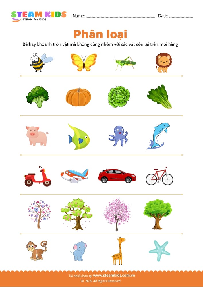 Bài tập khoa học - Phân loại - B3