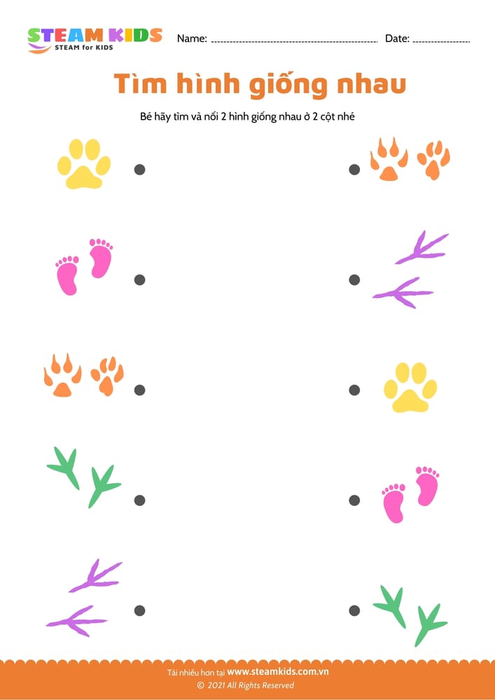 Bài tập khoa học - Nhận biết màu sắc - B28