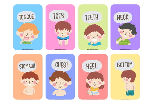 Counting Objects Flashcards